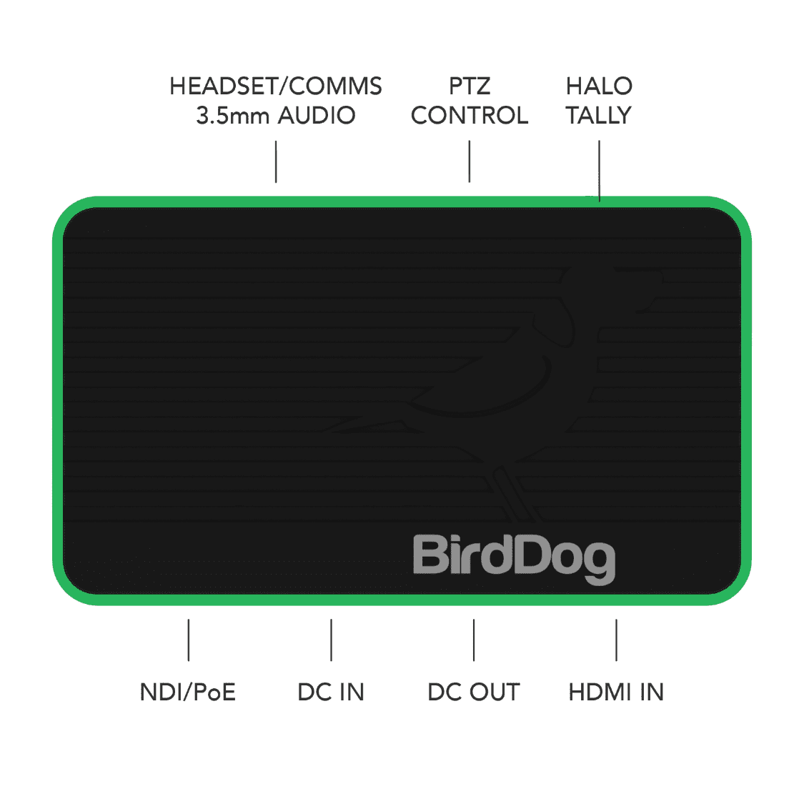 BirdDog Flex 4K IN Encoder