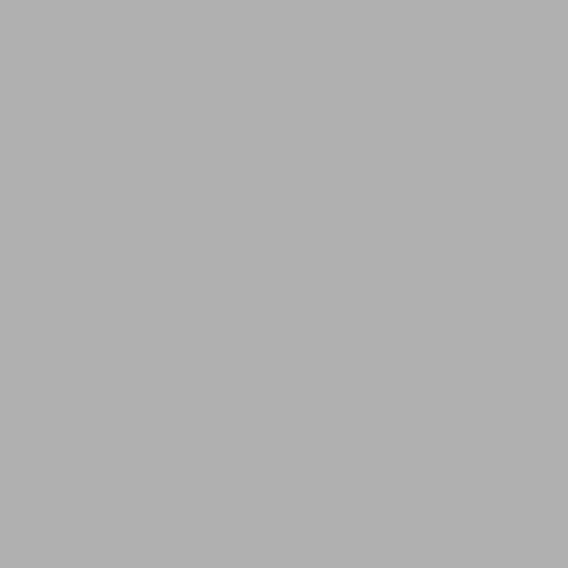 BD 119A1 Paper Background Plaza Gray 2.72 x 11m