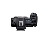 CANON EOS R5 Mark II + RF 24-105 mm f/4 L IS USM - Image 7