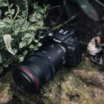 CANON RF 100 mm f/2,8 L IS USM Macro - Imagen 5