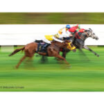 SONY FE 70-200 mm f/2,8 G Master OSS II - Image 4