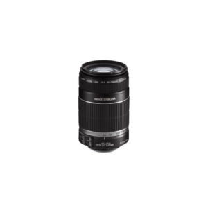 Canon EF-S 55-250 mm f/4-5,6 IS STM