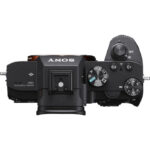 SONY ALPHA 7 III + 24-105 mm f/4 G OSS + FE 50 mm f/1,8 - Imagen 3