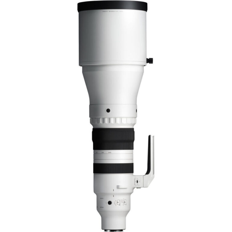 SIGMA 300-600 mm f/4 DG OS Monture L Sports – Image 2