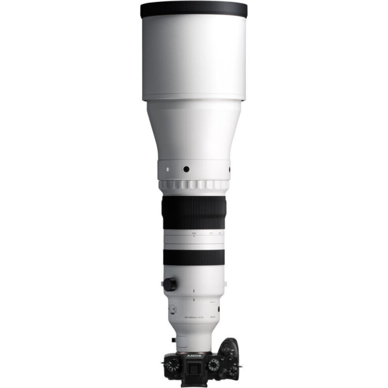 SIGMA 300-600 mm f/4 DG OS Sony E/FE Sports - Image 2