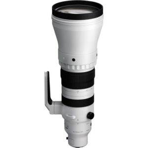 SIGMA 300-600mm f/4 DG OS Sony E/FE Sport