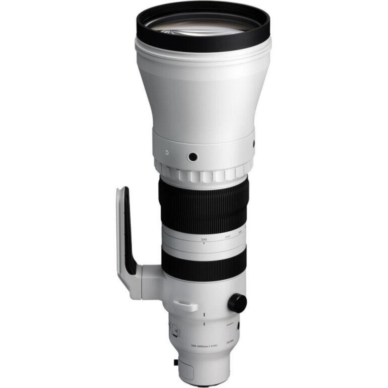 SIGMA 300-600 mm f/4 DG OS Sony E/FE Sports