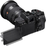 SONY ALPHA 7R V + FE 24-70 mm f/2,8 G Master II – Bild 4