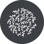 Godox Ensemble de Gobos GP-GS2 pour Projecteur à Monture G (lot de 6) – Image 5