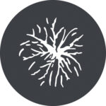 Godox Ensemble de Gobos GP-GS2 pour Projecteur à Monture G (lot de 6) – Image 2